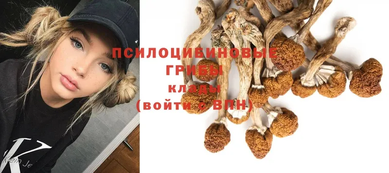 mega ССЫЛКА  Лаишево  Псилоцибиновые грибы Cubensis 